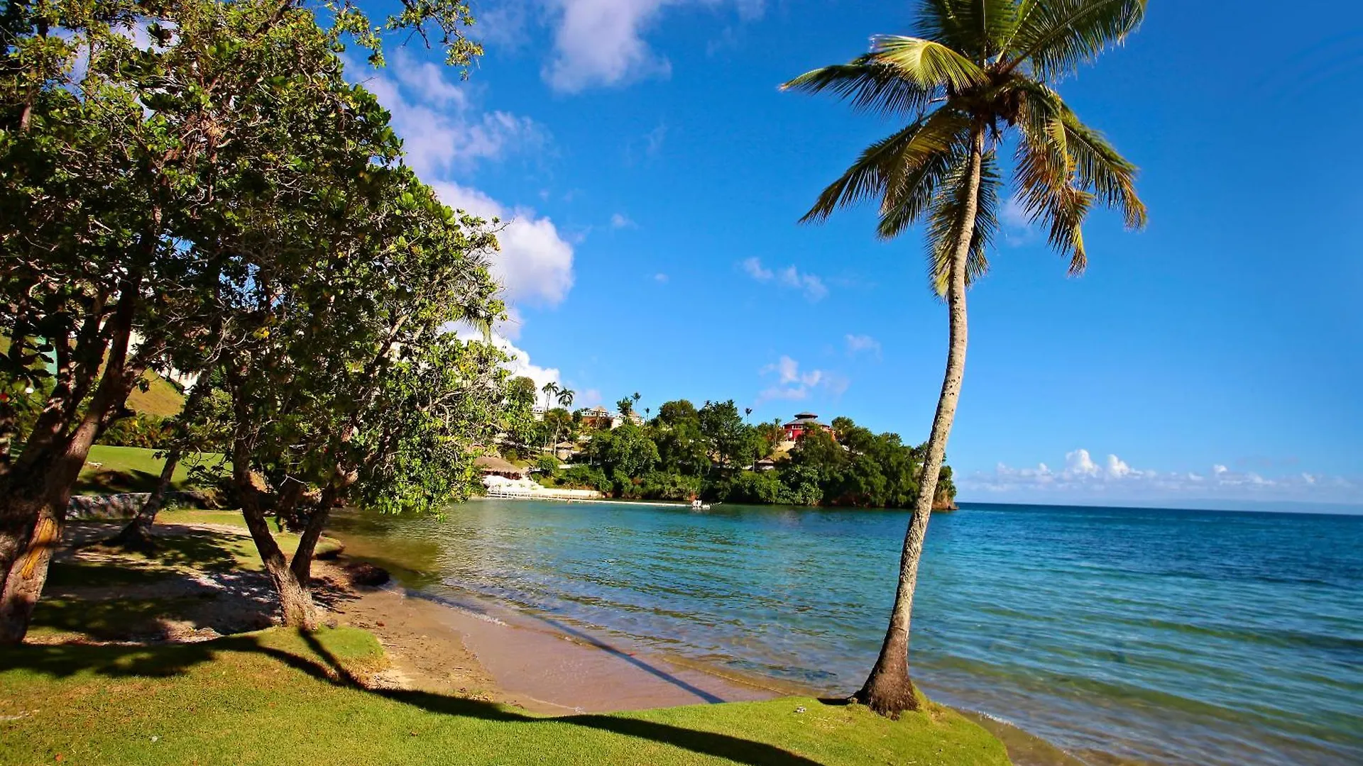Отель Eurostars Grand Cayacoa (Adults Only) Samana 5*,